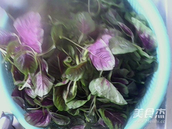 蒜蓉苋菜的做法