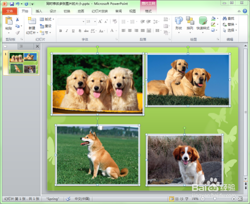 ppt中如何将多张图片修改成相同的大小