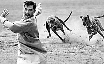 如何防止被陌生的狗追咬？