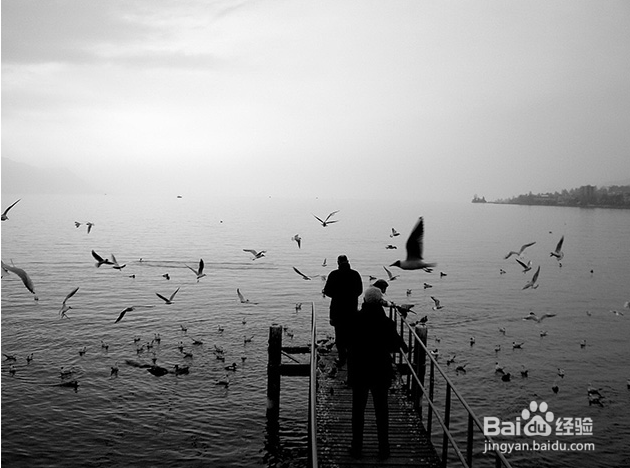 数码黑白摄影教程