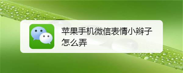 <b>苹果手机微信表情小辫子怎么弄</b>