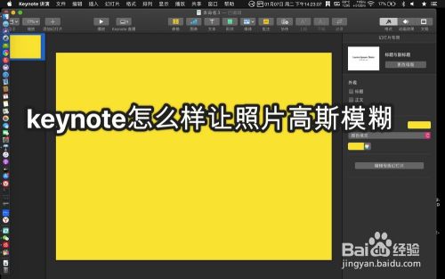 Keynote怎么样让照片高斯模糊 百度经验