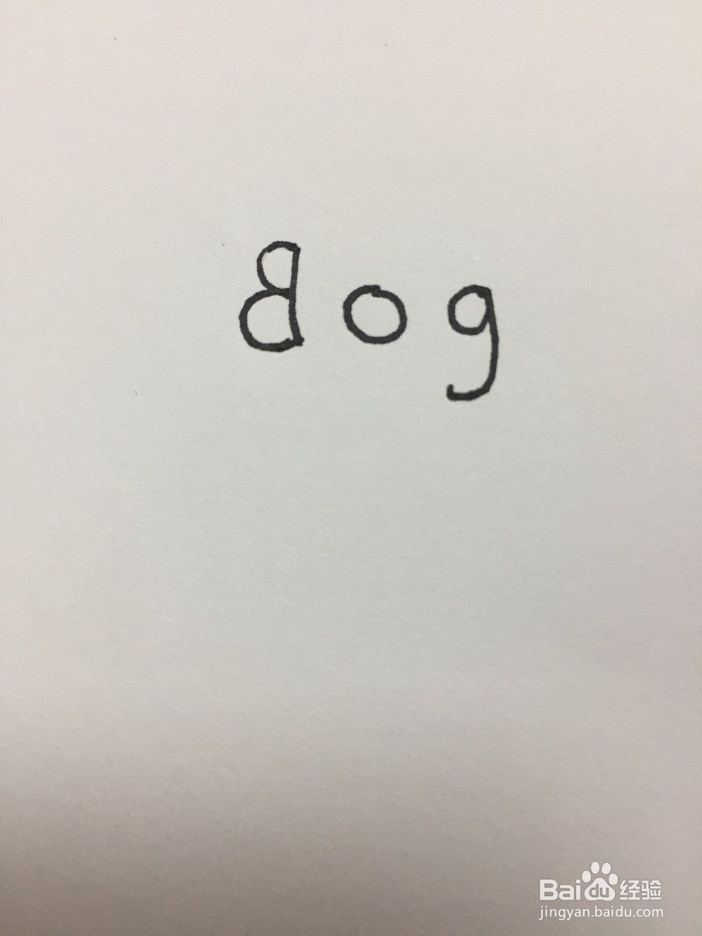 用英文dog画狗狗