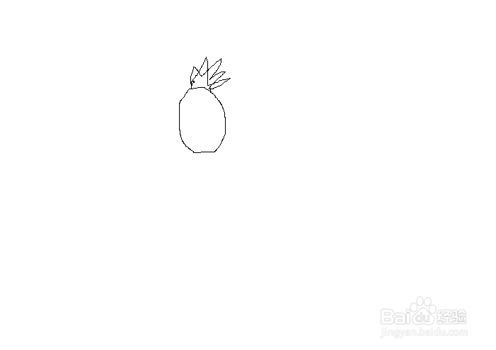 简笔画之菠萝