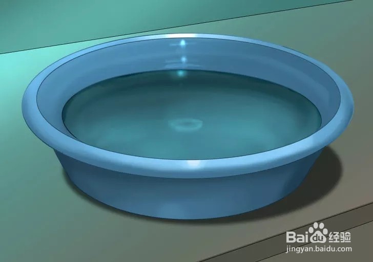 怎样照顾幼猫？