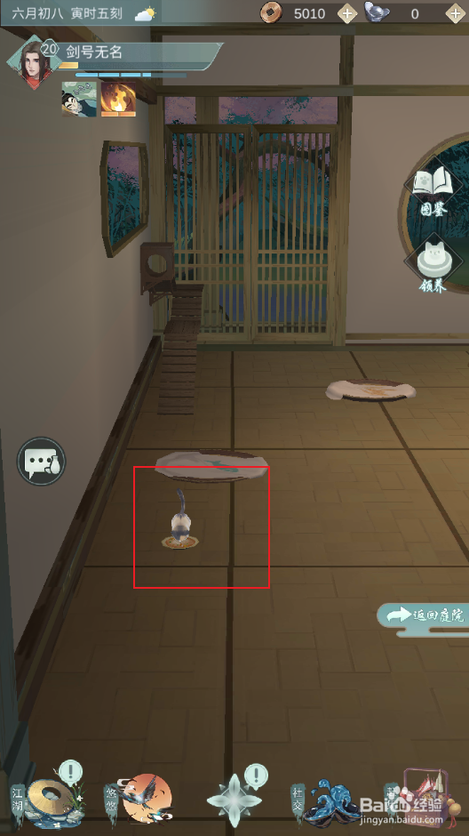 虎斑猫怎么养
