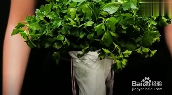 吃不完的蔬菜怎么保鲜