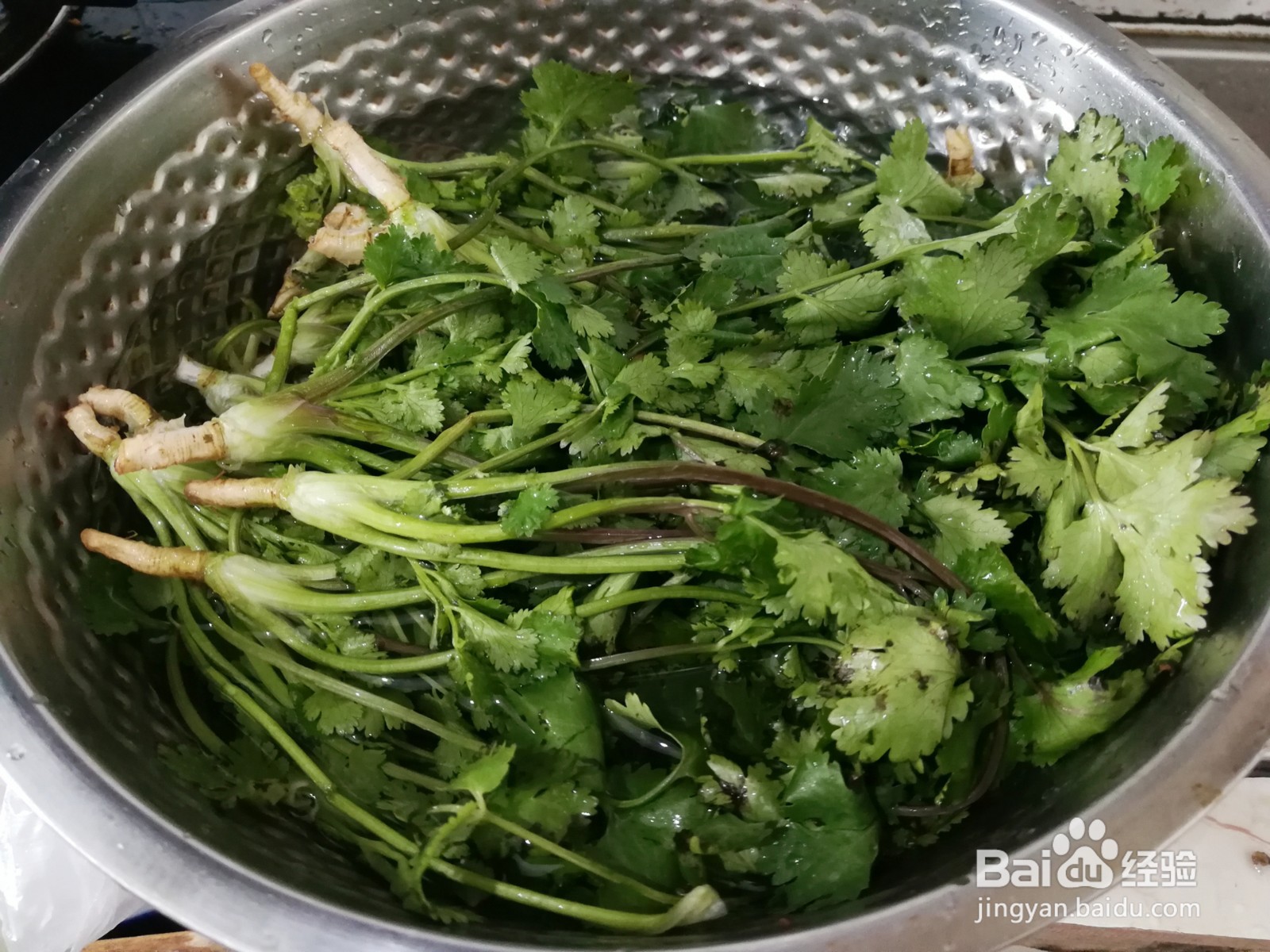 红萝卜炖香菜的做法