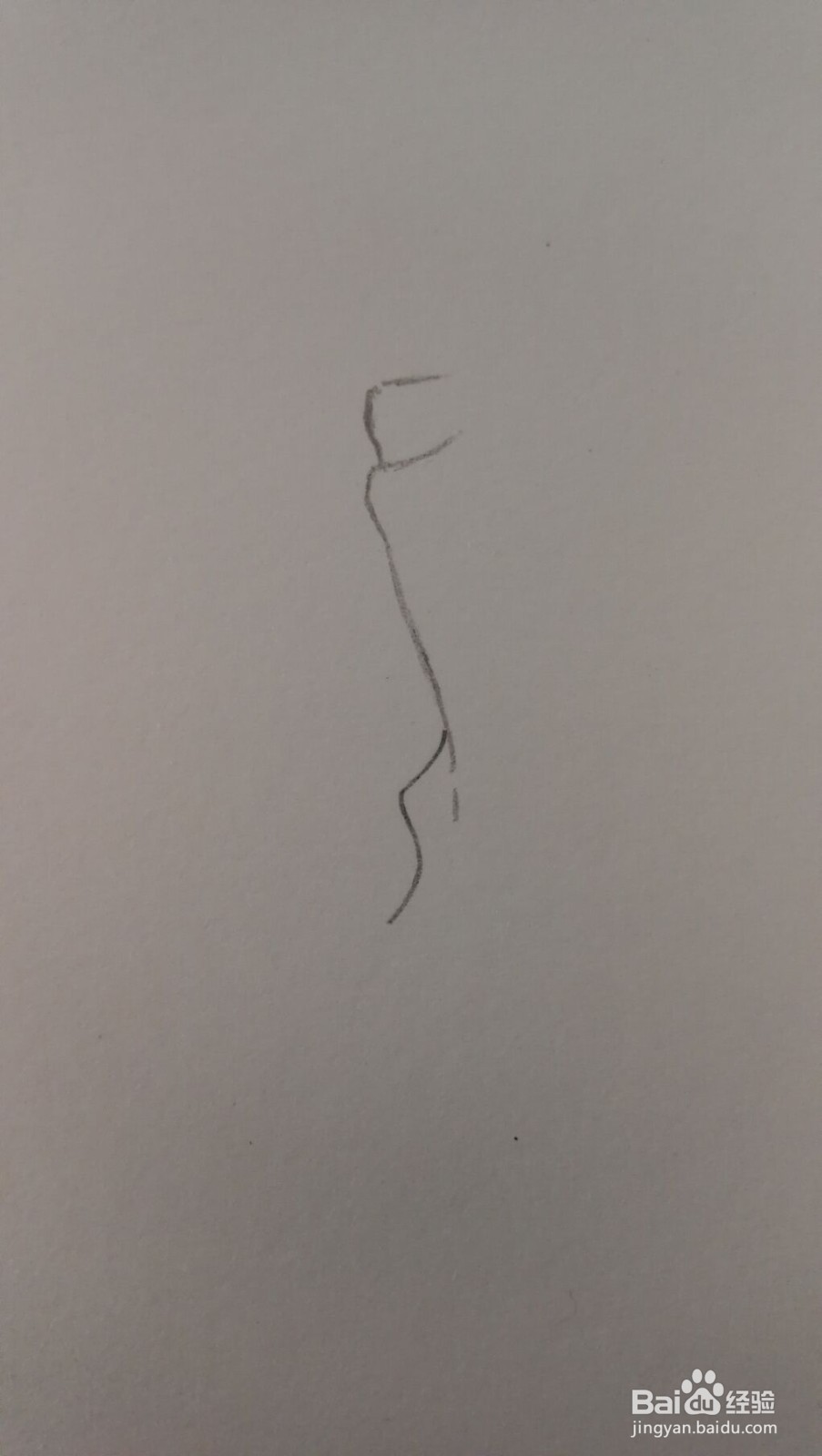 #经验分享官#正面握拳的右手画法