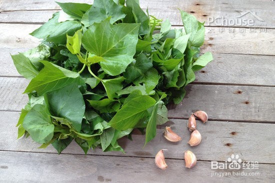 可以吃用的野菜，和它们的功效