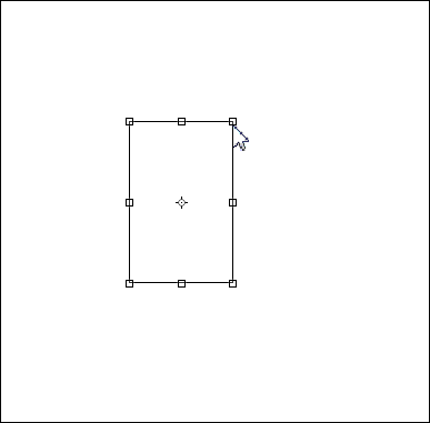 PS变换选区的操作技巧总结