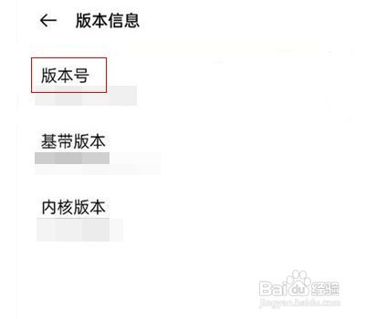 一加9r的开发者模式从哪里进入