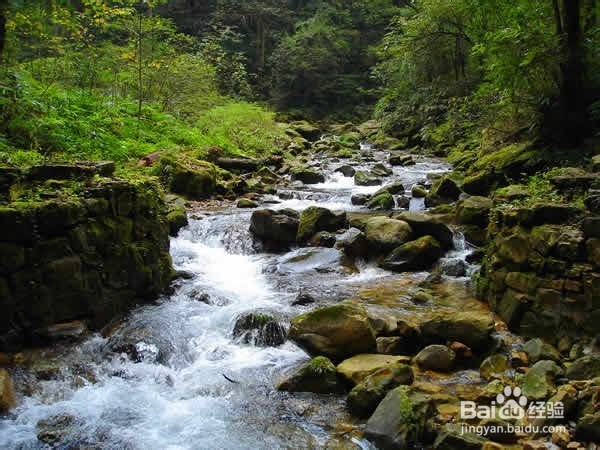 东营到张家界旅游攻略