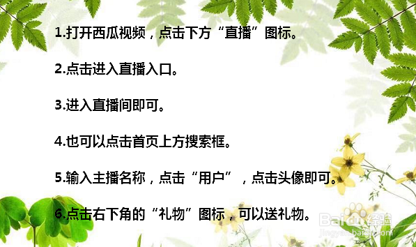 西瓜视频怎么看直播