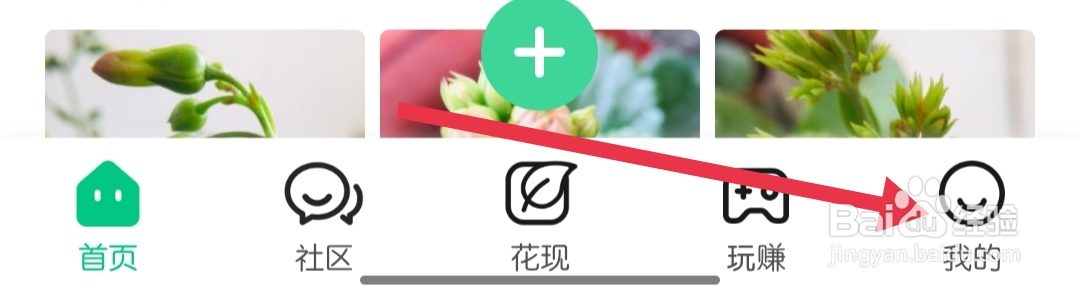 养花大全怎样查找账号绑定
