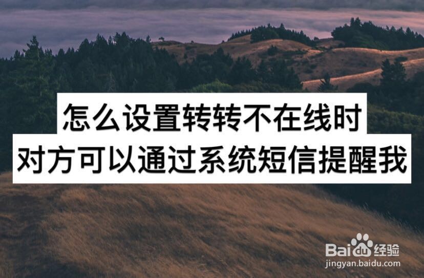 怎么设置转转不在线时对方可通过系统短信提醒我