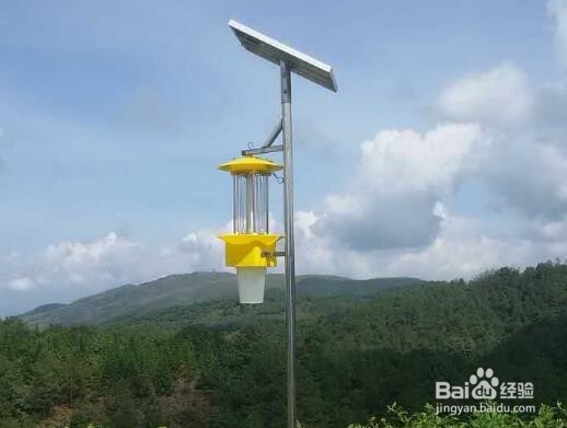 如何在现代农业中普及使用太阳能频振式杀虫灯?