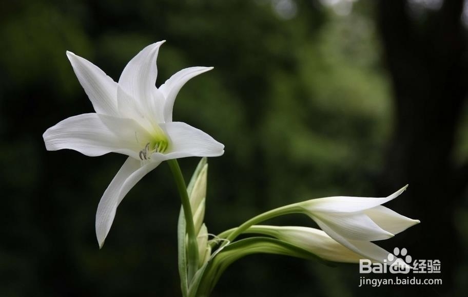 春天口干舌燥如何调理