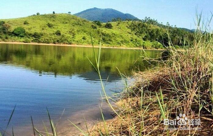 水库河道人工湖不让钓鱼是怎么回事？