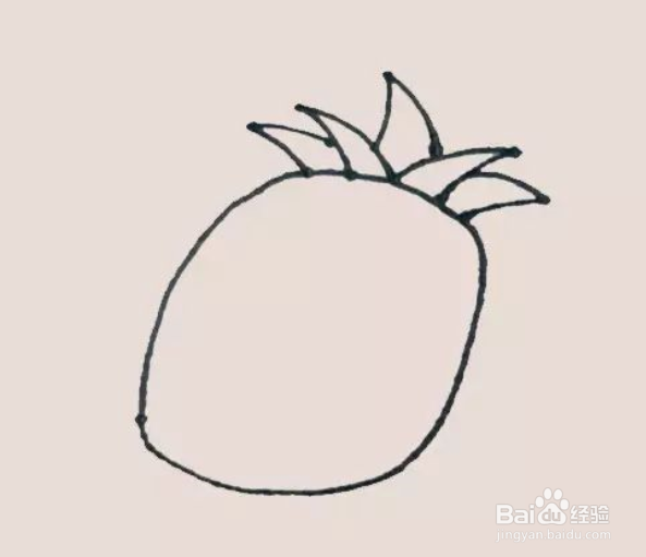 如何画简笔画菠萝？