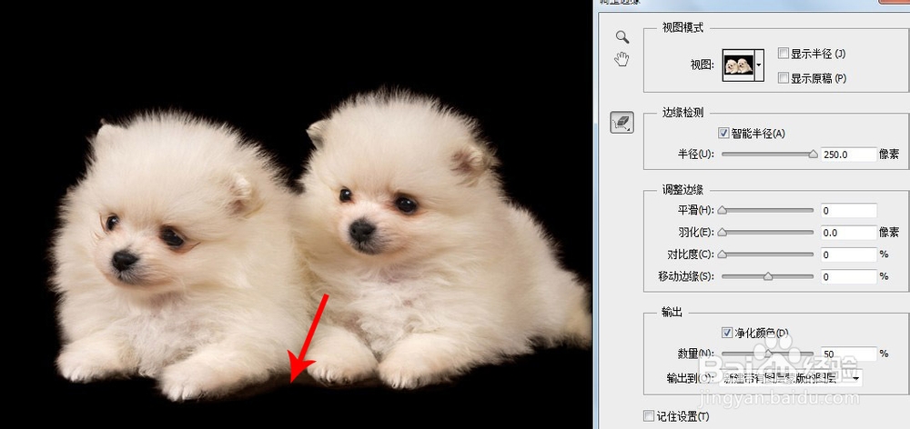 用调整边缘功能抠图：[3]抠图技巧