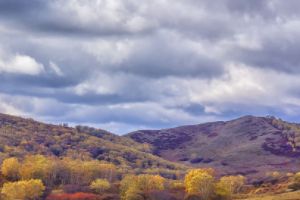 木兰围场怎么游玩？