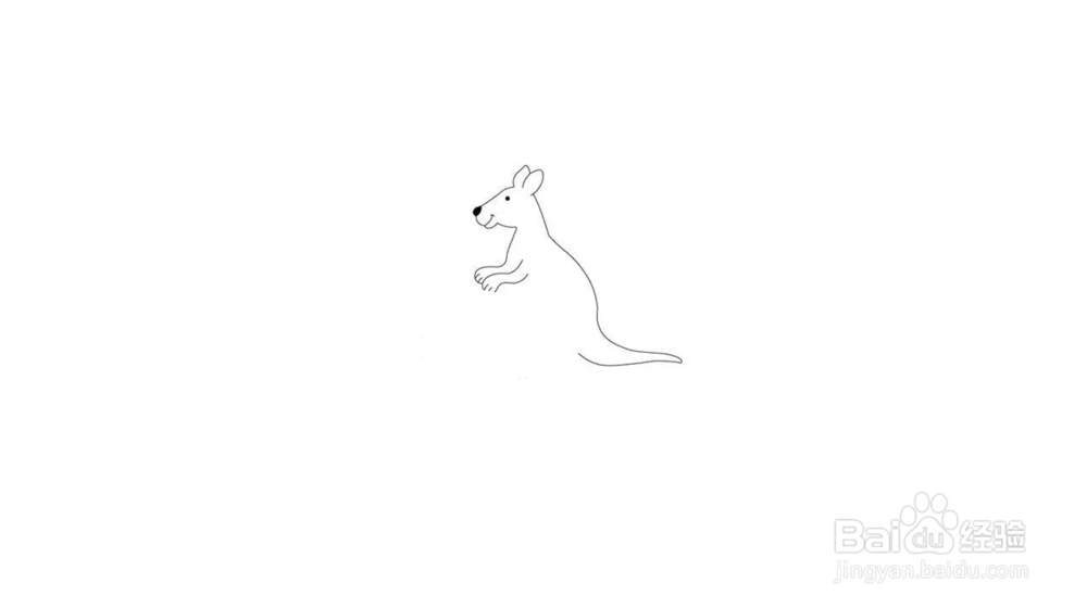袋鼠简笔画教程
