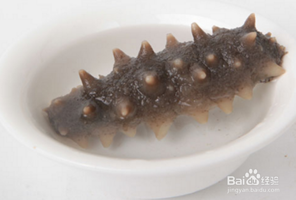 海参小米粥怎么做不腥