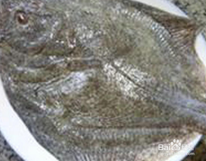 葱油多宝鱼制作方法