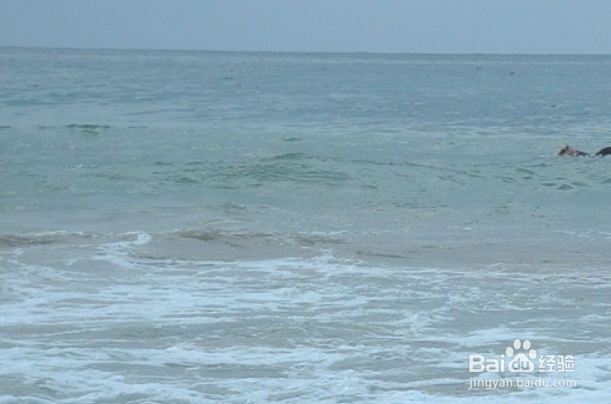 气势恢宏乌布皇宫