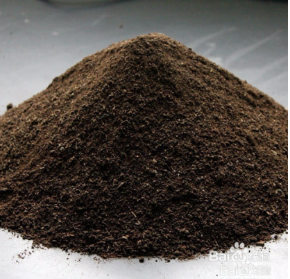 大岩桐花怎么养