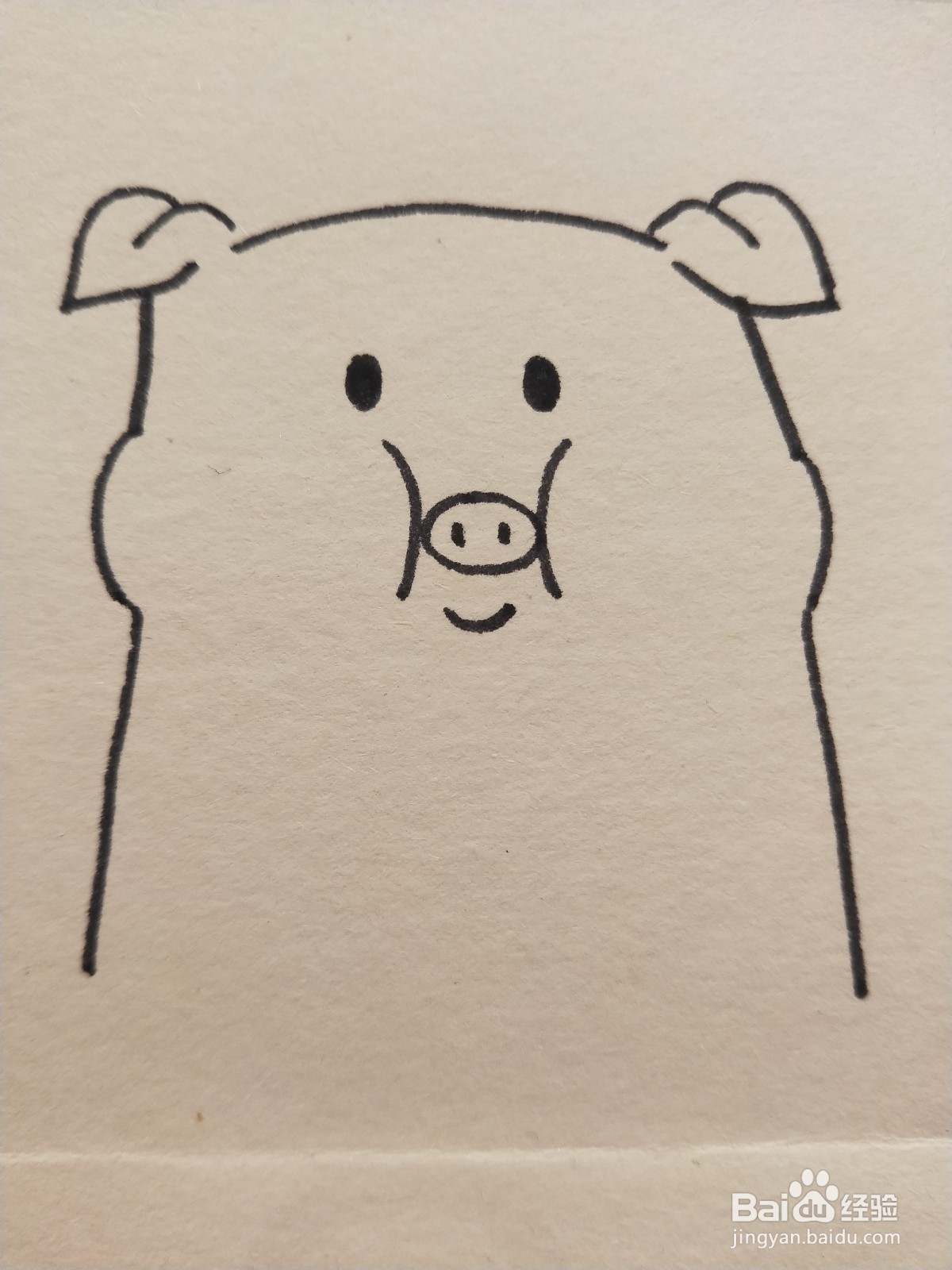 怎样画简笔画——小猪