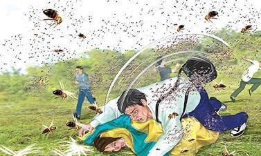 被蜂子蛰了怎么消肿