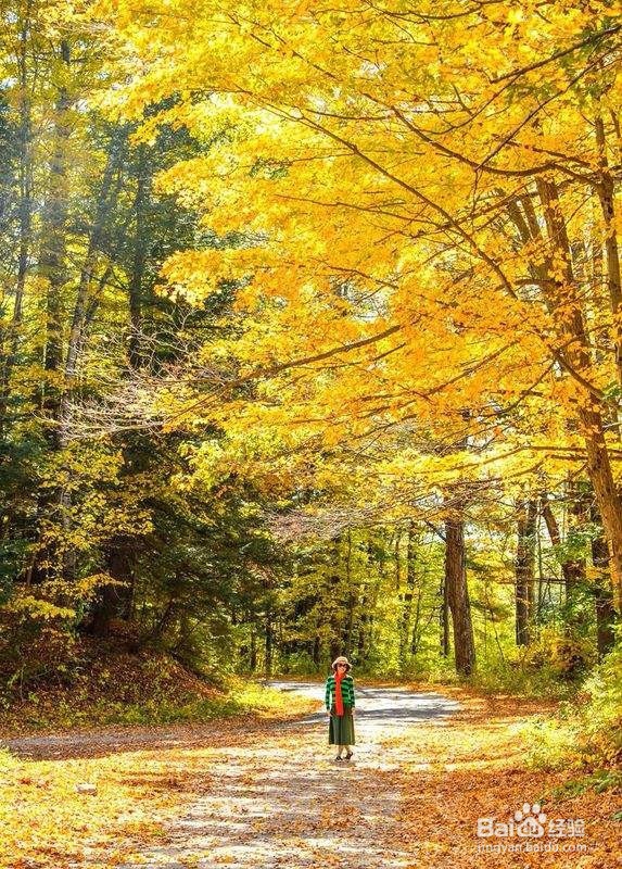 坚持散步的有哪些好处