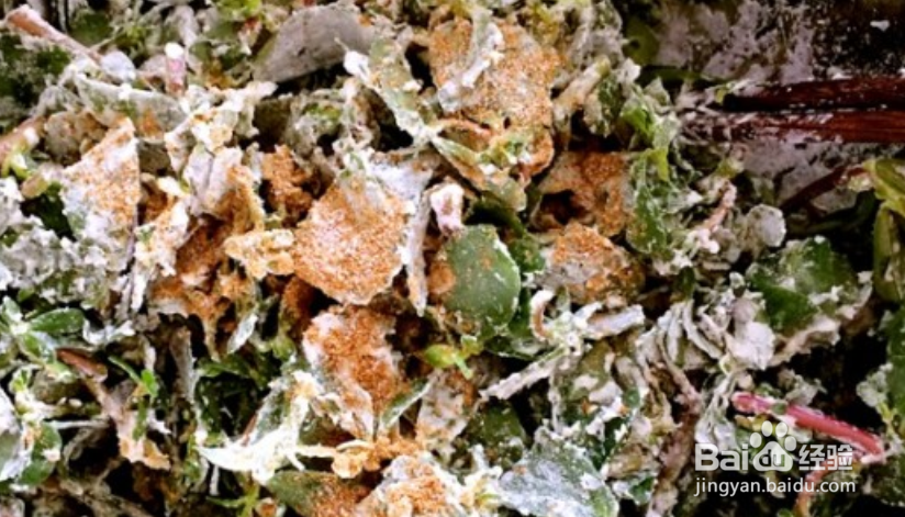 马齿苋素馅怎么做好吃