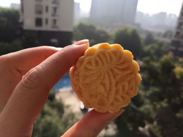 酥皮金沙奶黄月饼