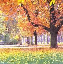 初中生物：我国主要的植被类型