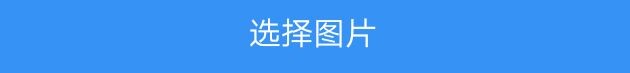 怎么用WPS软件把图片转换为表格