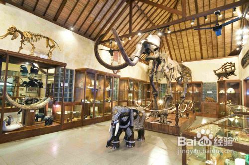 十一月去哪里旅游好？请考虑到巴厘岛