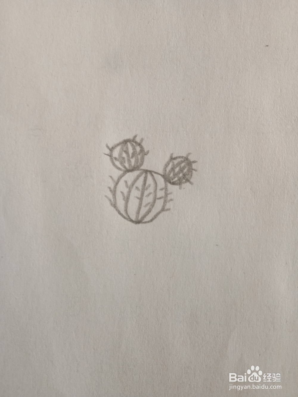 教你画简笔画仙人球