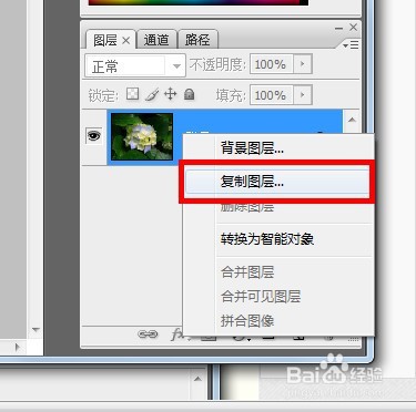 photoshop中怎么使图片变形