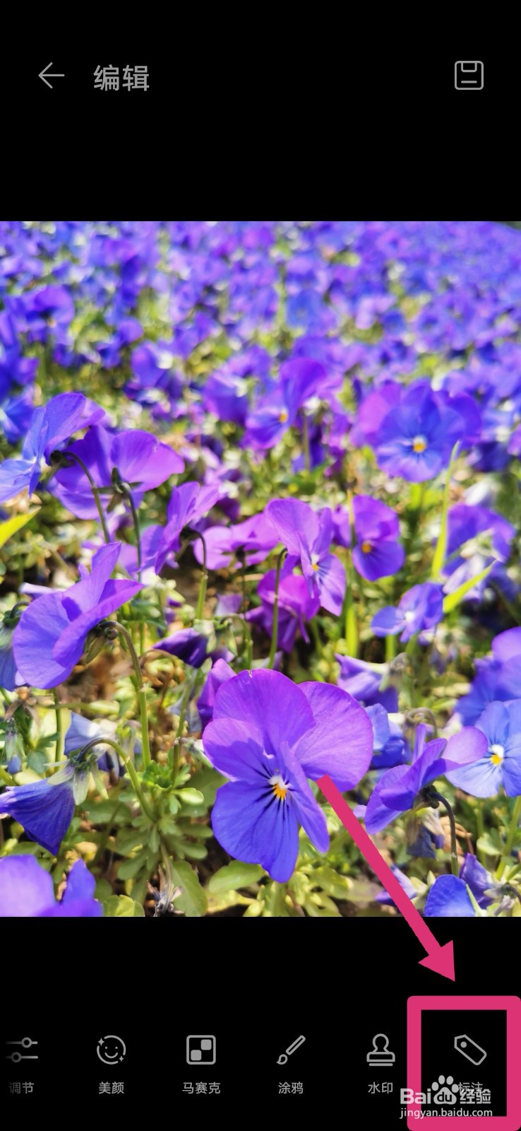 手机图片上如何添加文字