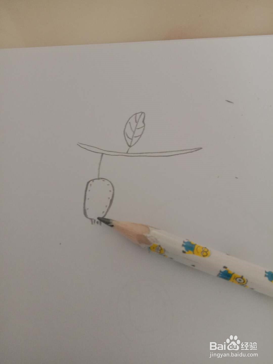 简笔画 如何画猕猴桃