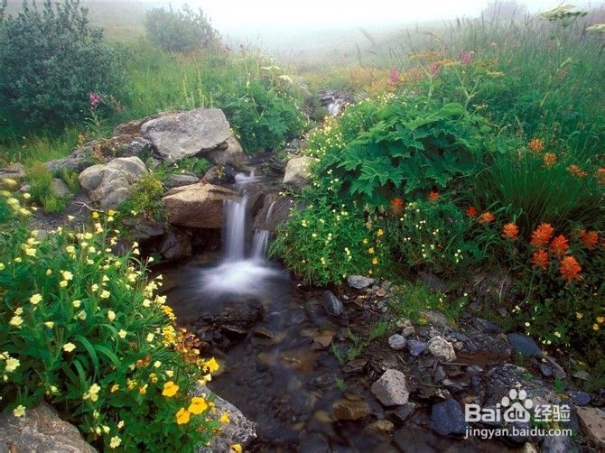 大理古城游玩推荐!