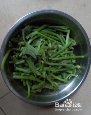 美味素菜南瓜苗豆角炒腐皮的做法