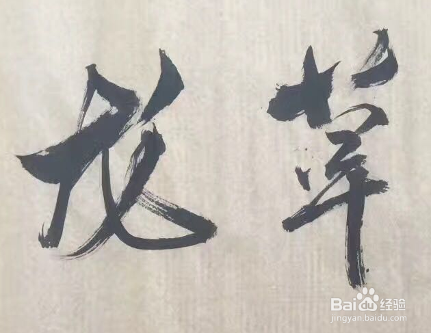 龙草的功之根本