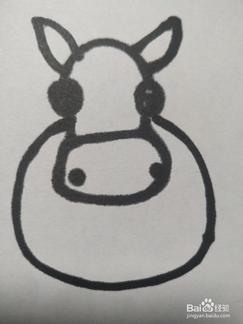 毛驴的简笔画技法13