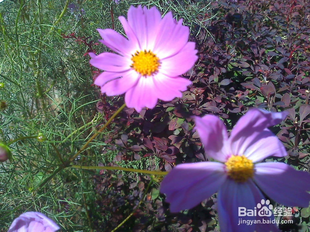 读书的好处---13