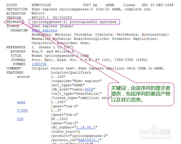 如何看懂GenBank数据库的序列文件？