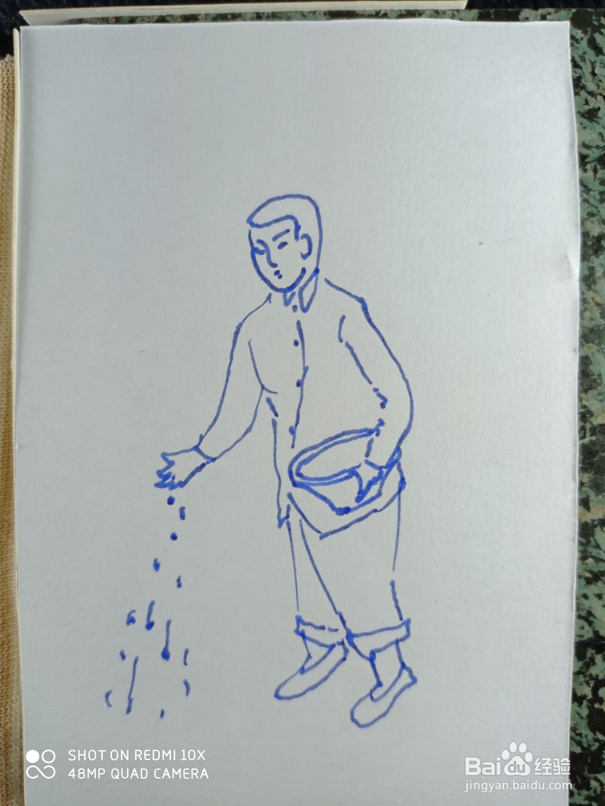 怎样画简笔画“农民伯伯撒种子”？